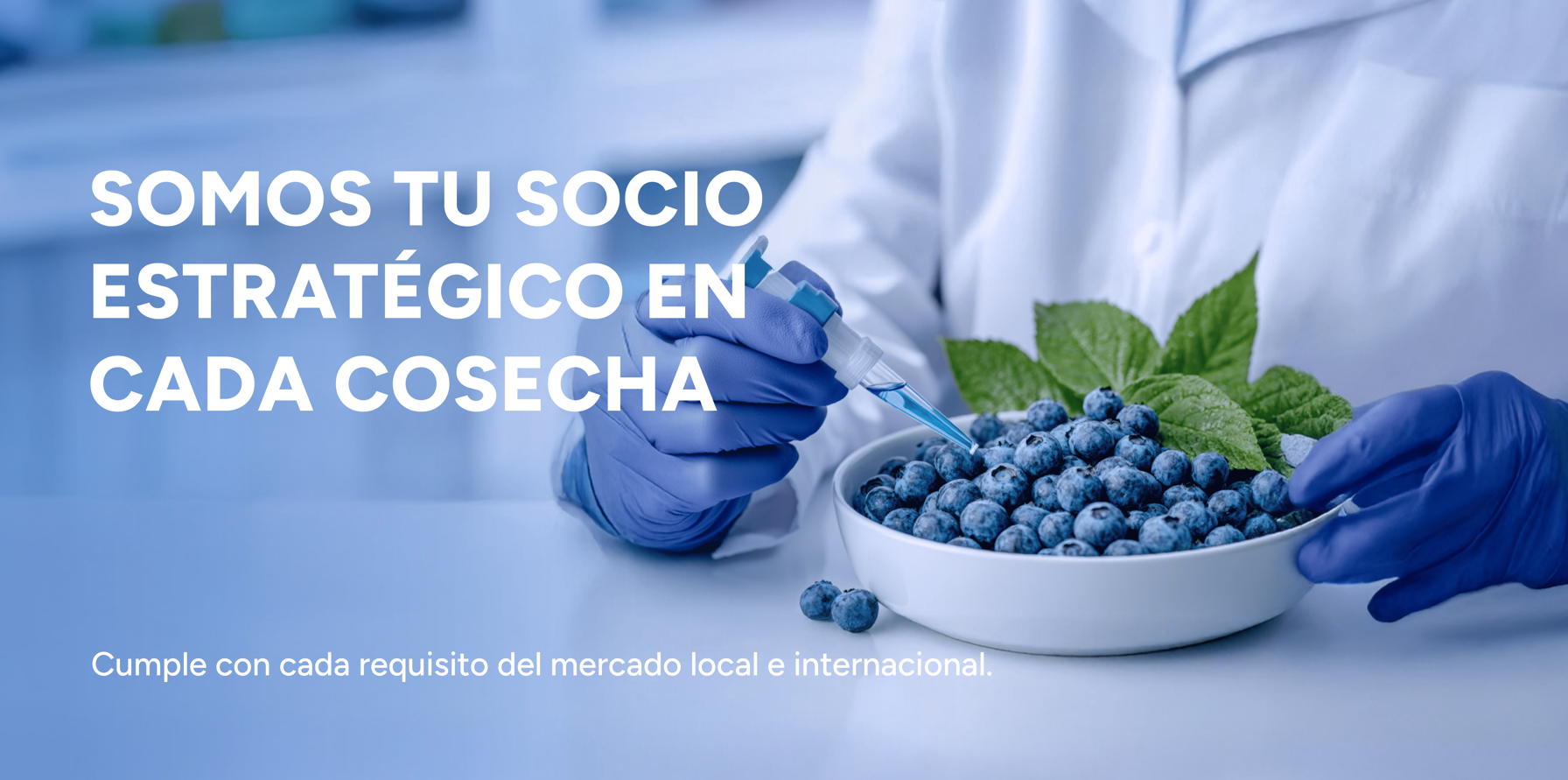 Captura de pantalla 2025-09-24 182443