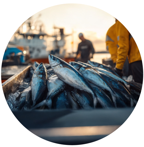 Captura de pantalla 2025-10-07 170716