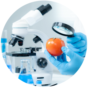 Captura de pantalla 2025-09-24 184103